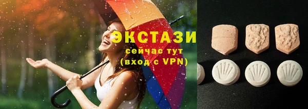 индика Зеленодольск