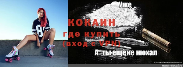 индика Зеленодольск