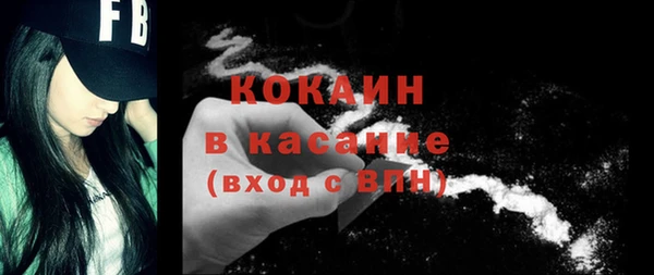 индика Зеленодольск