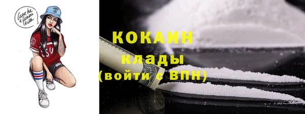 индика Зеленодольск