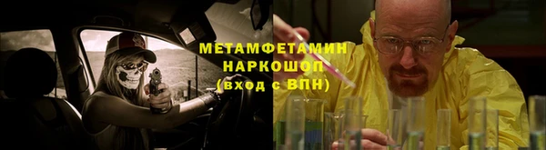 индика Зеленодольск