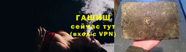 индика Зеленодольск