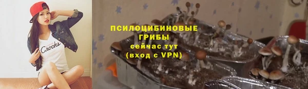 индика Зеленодольск
