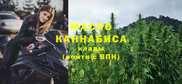 индика Зеленодольск