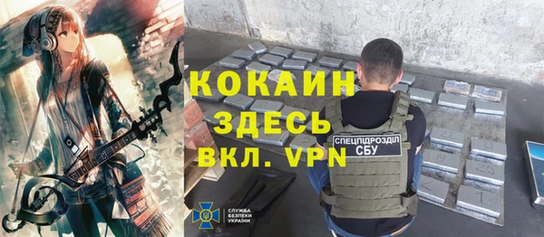 индика Зеленодольск
