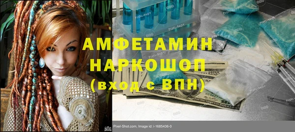 индика Зеленодольск