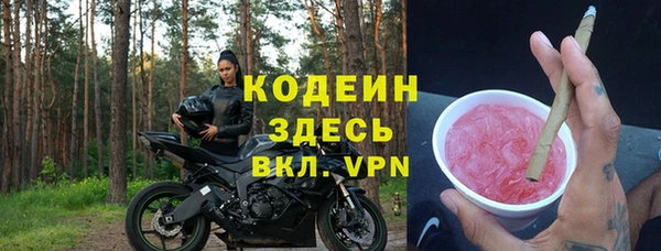 индика Зеленодольск