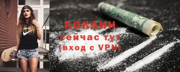 индика Зеленодольск