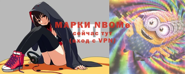 индика Зеленодольск