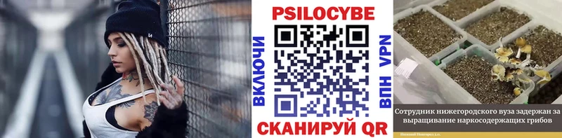 Галлюциногенные грибы Cubensis  дарнет шоп  это какой сайт  Талица 